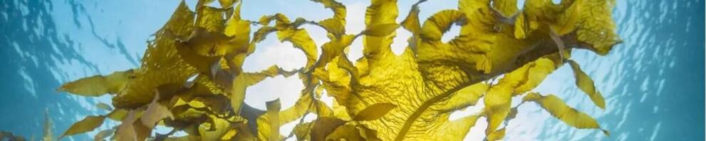 Nouvelle acquisition pour le Groupe JRS